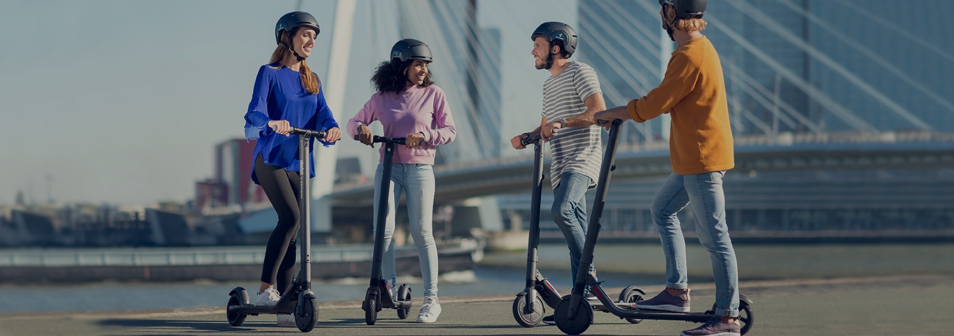 Adults Scooter